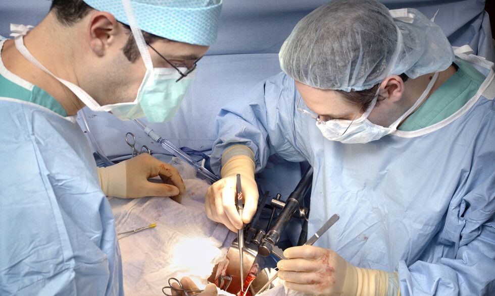 Organ Transplant